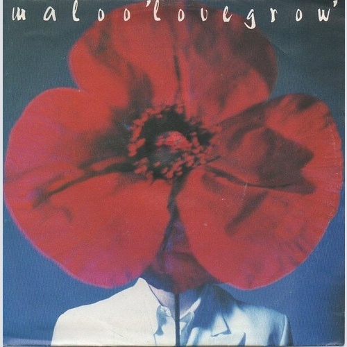Maloo* - Lovegrow (7", Single)