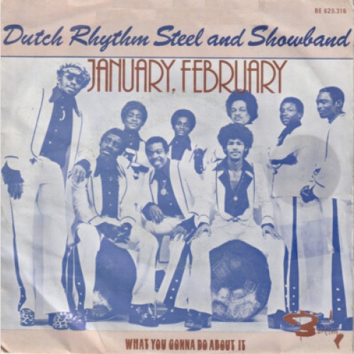 Dutch Rhythm Steel And Showband* - January, February (7", Single)