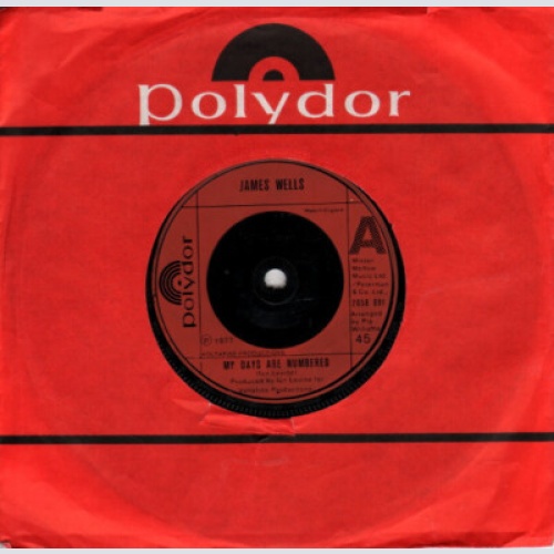 James Wells - My Days Are Numbered (7", Single)