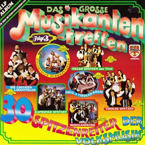 Various - Das Grosse Musikantentreffen - Folge 3 - 30 Spitzenreiter Der Volks...