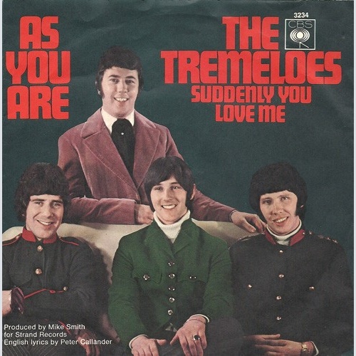 The Tremeloes - As You Are (7", Single, Mono)