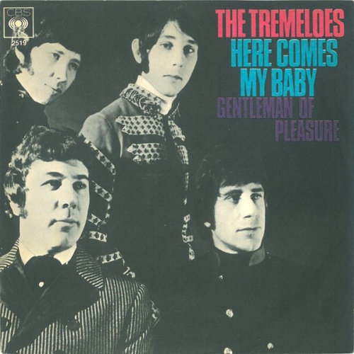 The Tremeloes - Here Comes My Baby (7", Single)