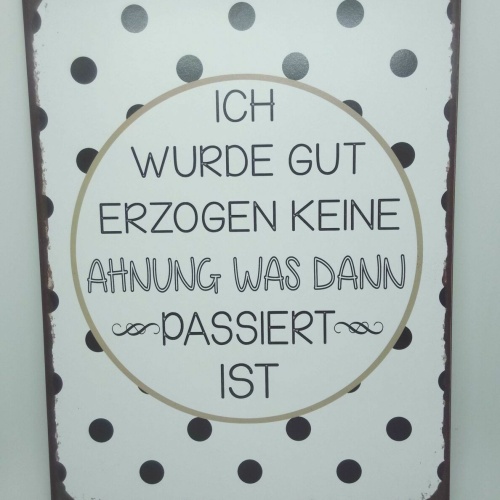 Nostalgie Retro Blechschild "Ich wurde gut erzogen..." 35x26 50244
