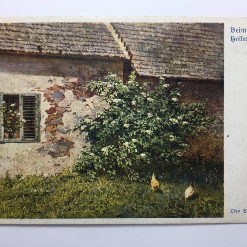 Deutscher Schulverein - Beim Hollerbusch (O.Pfeiffer) / Künstlerkarte 30017 TH