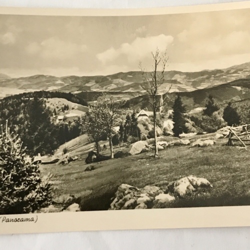 AK, Nessellachen, Panoramablick, Berge (110208 BW)