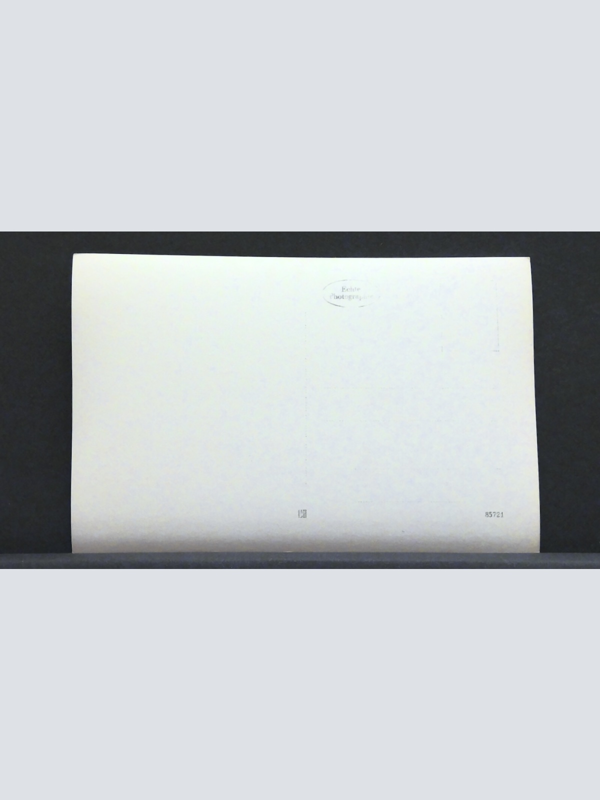 Geweihsammlung Jagd Jagdtrophäen JW 410198 F