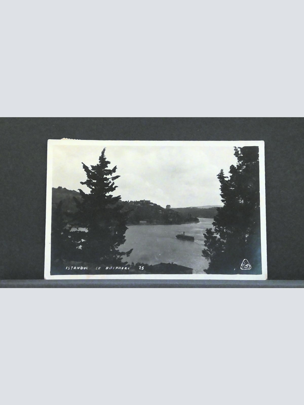 Istanbul Türkei Le Bosphore Bosporus Meer Schiff JW 410232 F