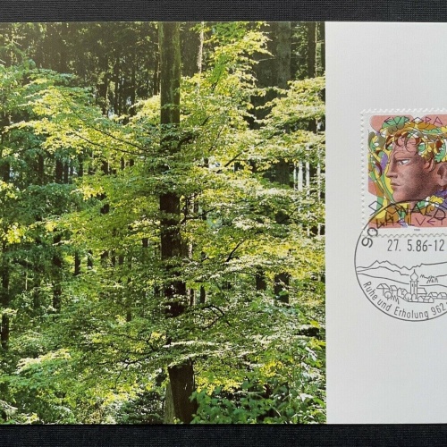 Brief Wald AR Natur Umweltschutz Mischwald 1986 Schweiz ca.14,9x10,4cm 410322