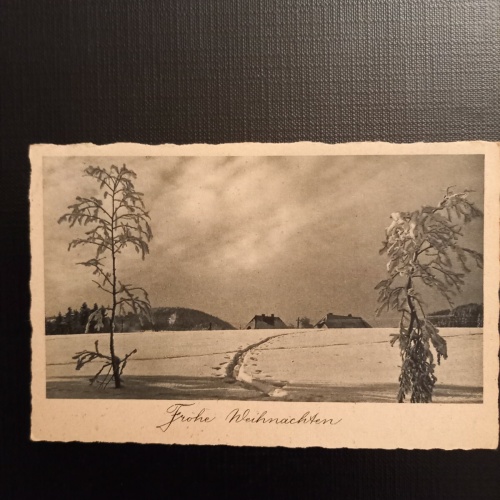 Frohe Weihnachten 400834 gr A