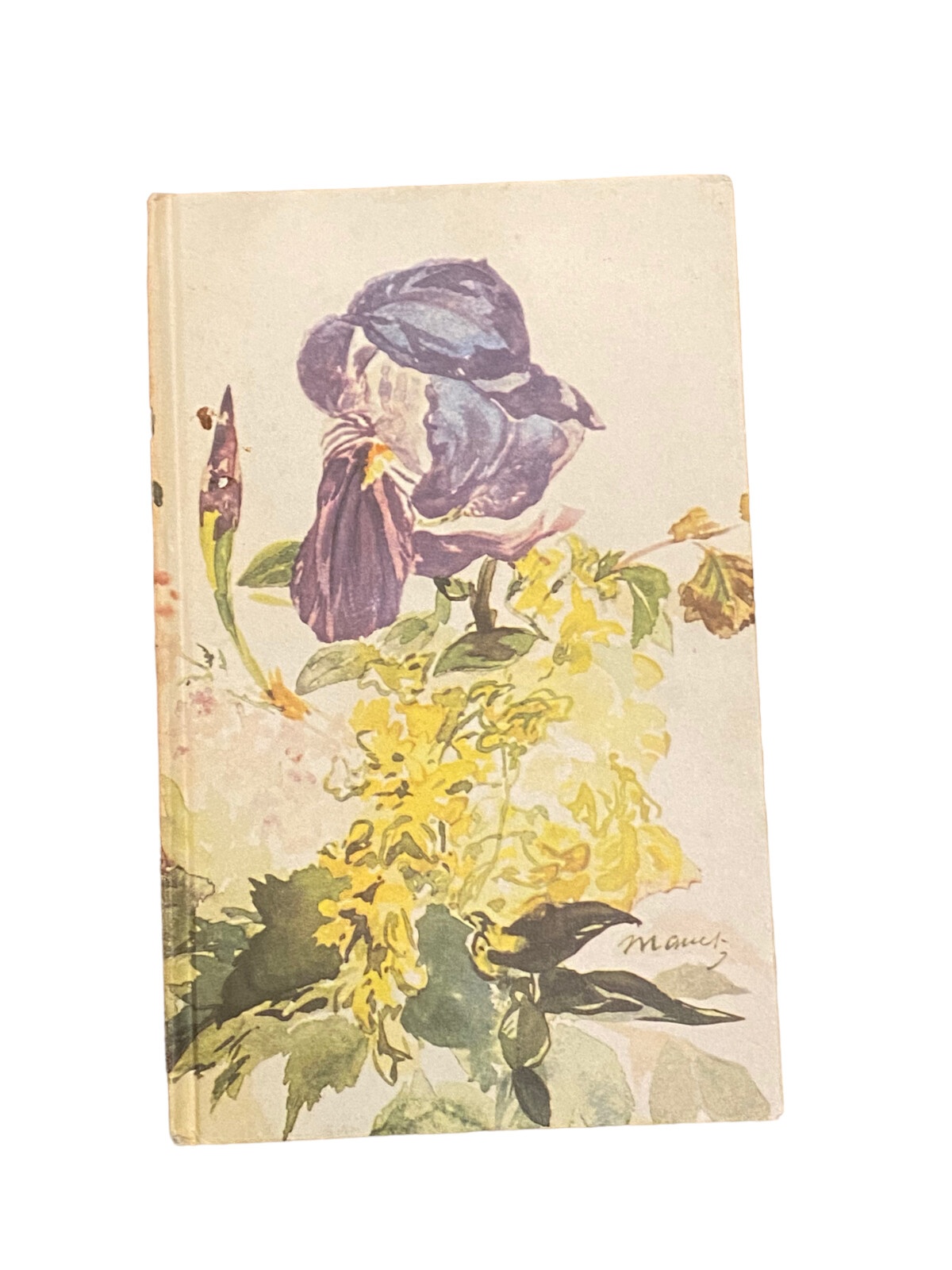 5645 BLUMEN IM BILD 20 FARBIGE BEISPIELE AUS 6 JAHRHUNDERTEN ABENDLÄND. MALEREI