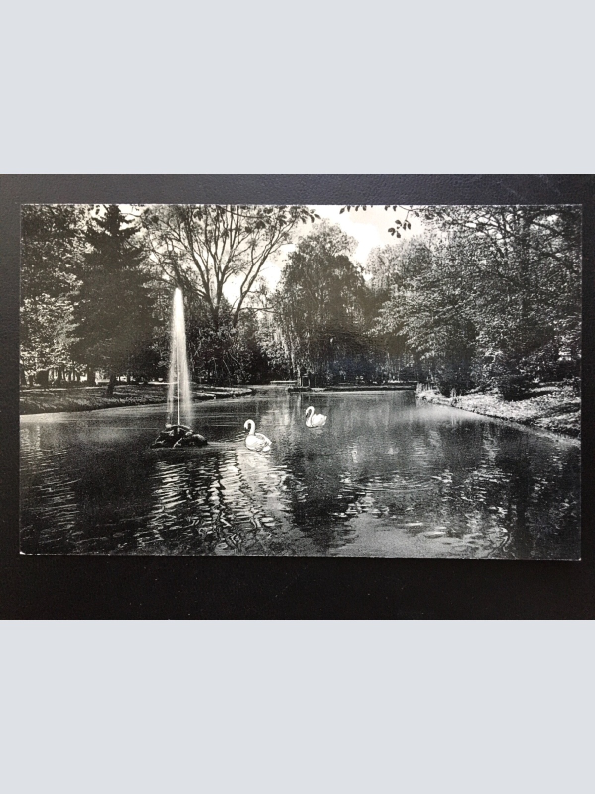 Schwäne mit Springbrunnen - Park Fluss - Künstlerkarte 967 TH