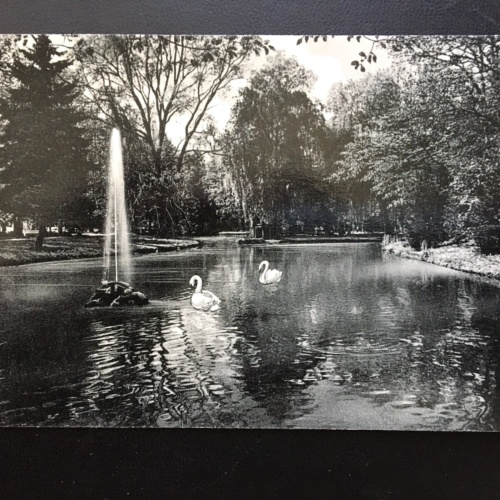 Schwäne mit Springbrunnen - Park Fluss - Künstlerkarte 967 TH