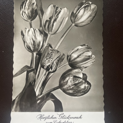 Herzlichen Glückwunsch zum Geburtstag, Blumen 400705 DN