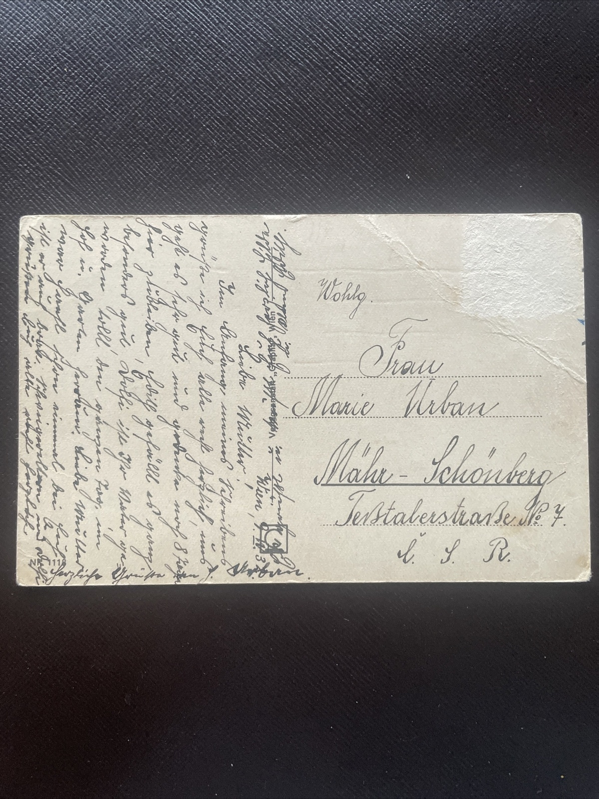 Wien Schönbrunn, Neptungrotte mit Gloriette 400791 DN A