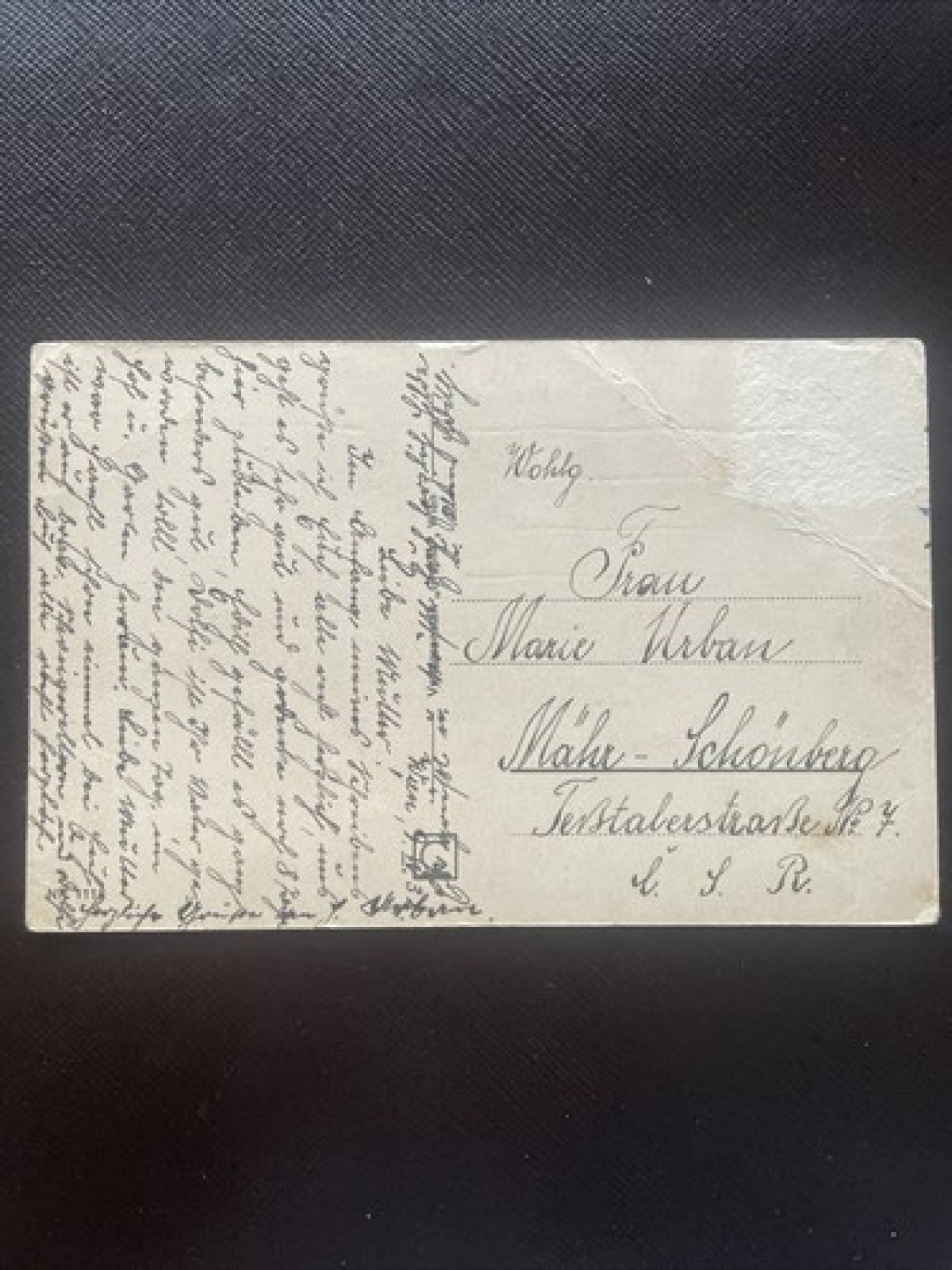 Wien Schönbrunn, Neptungrotte mit Gloriette 400791 DN A