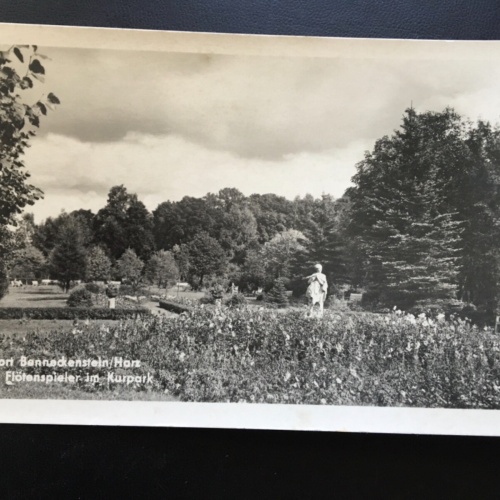 Kurort Benneckenstein - Harz - Der Flötenspieler im Kurpark - Statue 924 TH