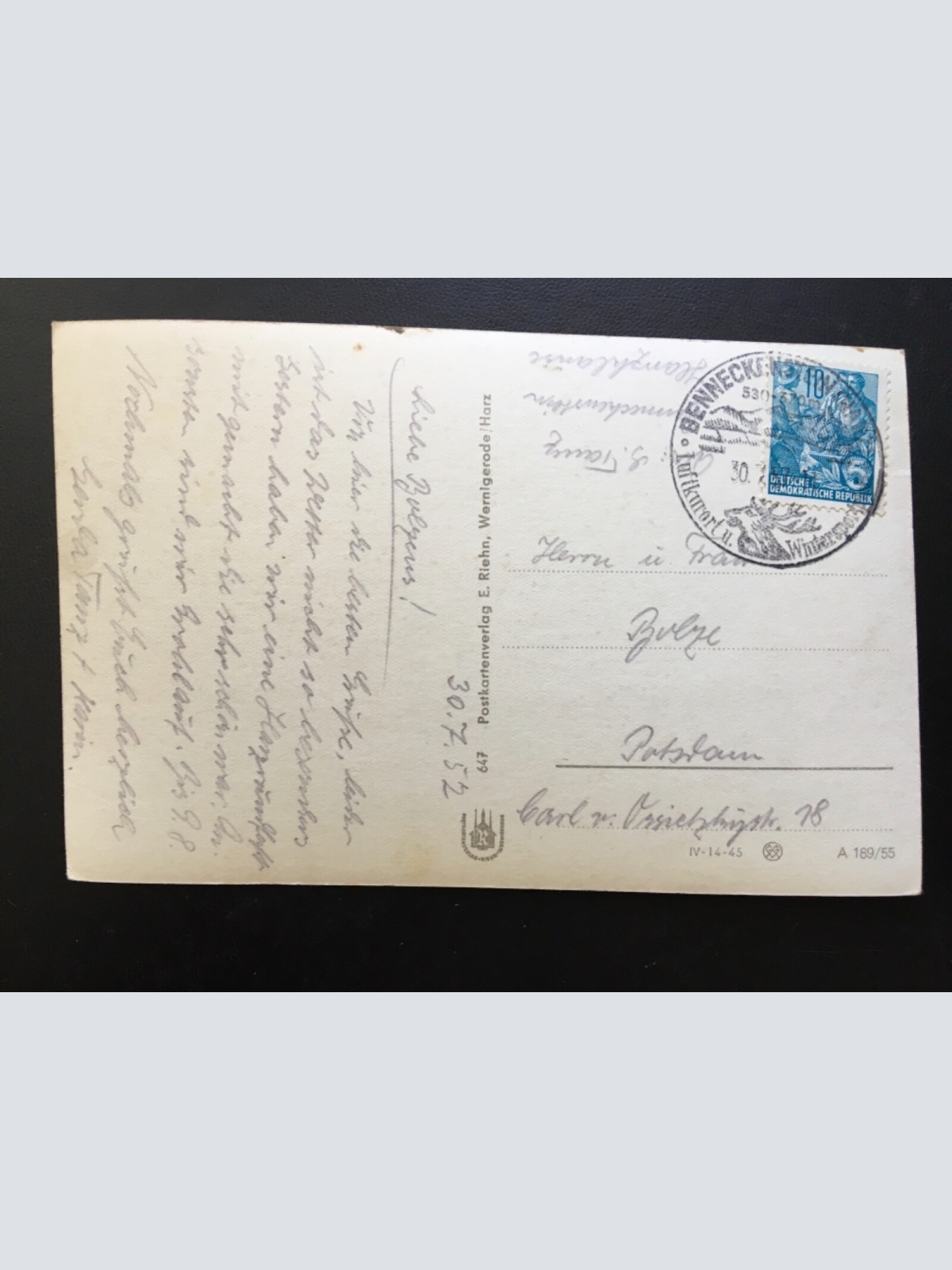 Kurort Benneckenstein - Harz - Der Flötenspieler im Kurpark - Statue 924 TH