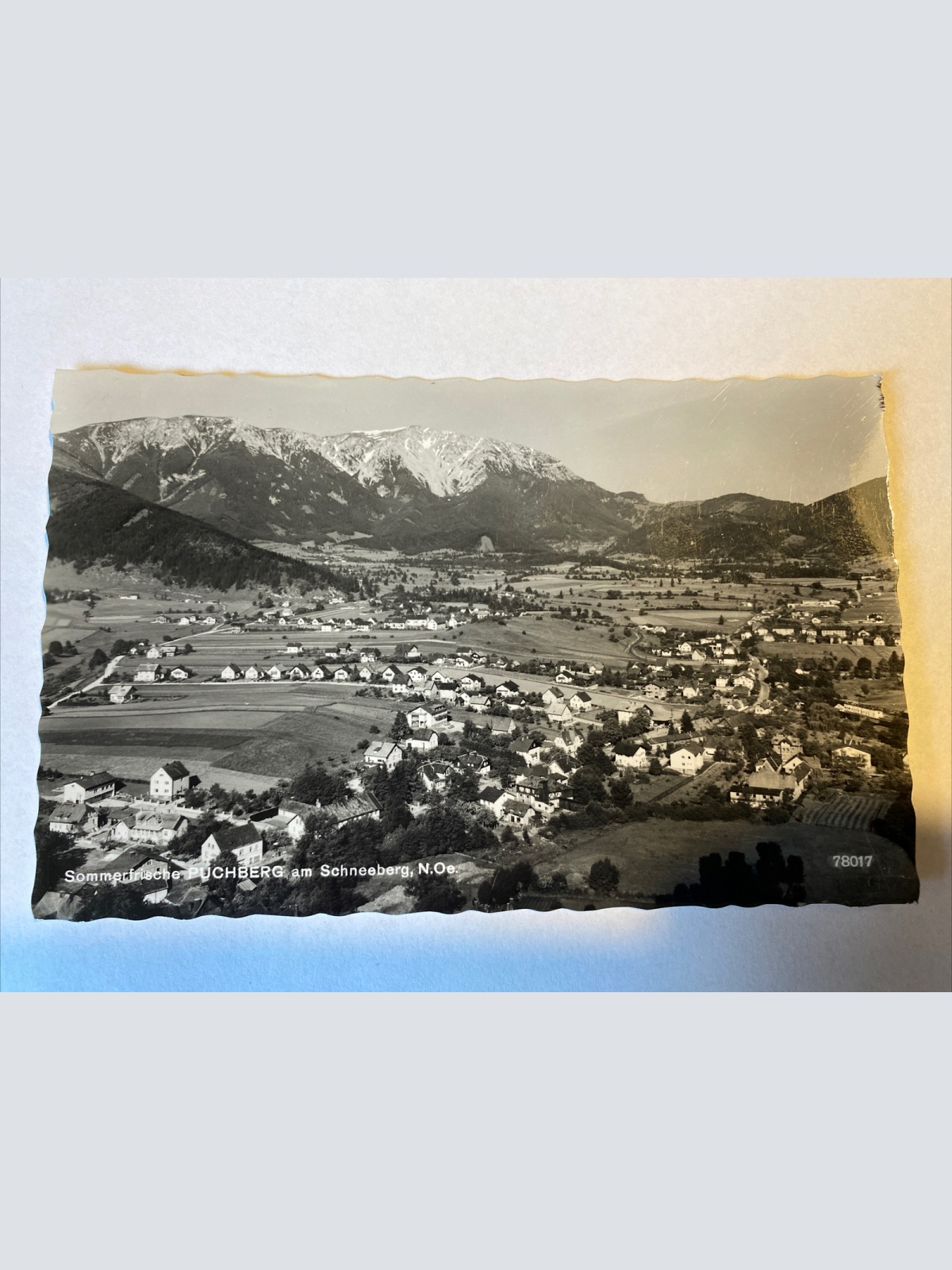 Puchberg Schneeberg 70016