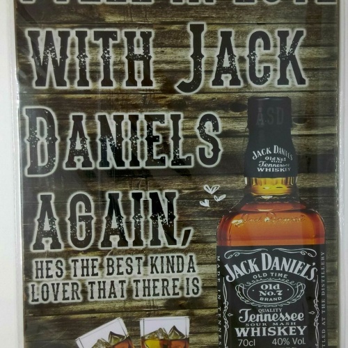 Nostalgie Retro Schild Whiskey I fell in love with Jack Daniels again30x20 50066