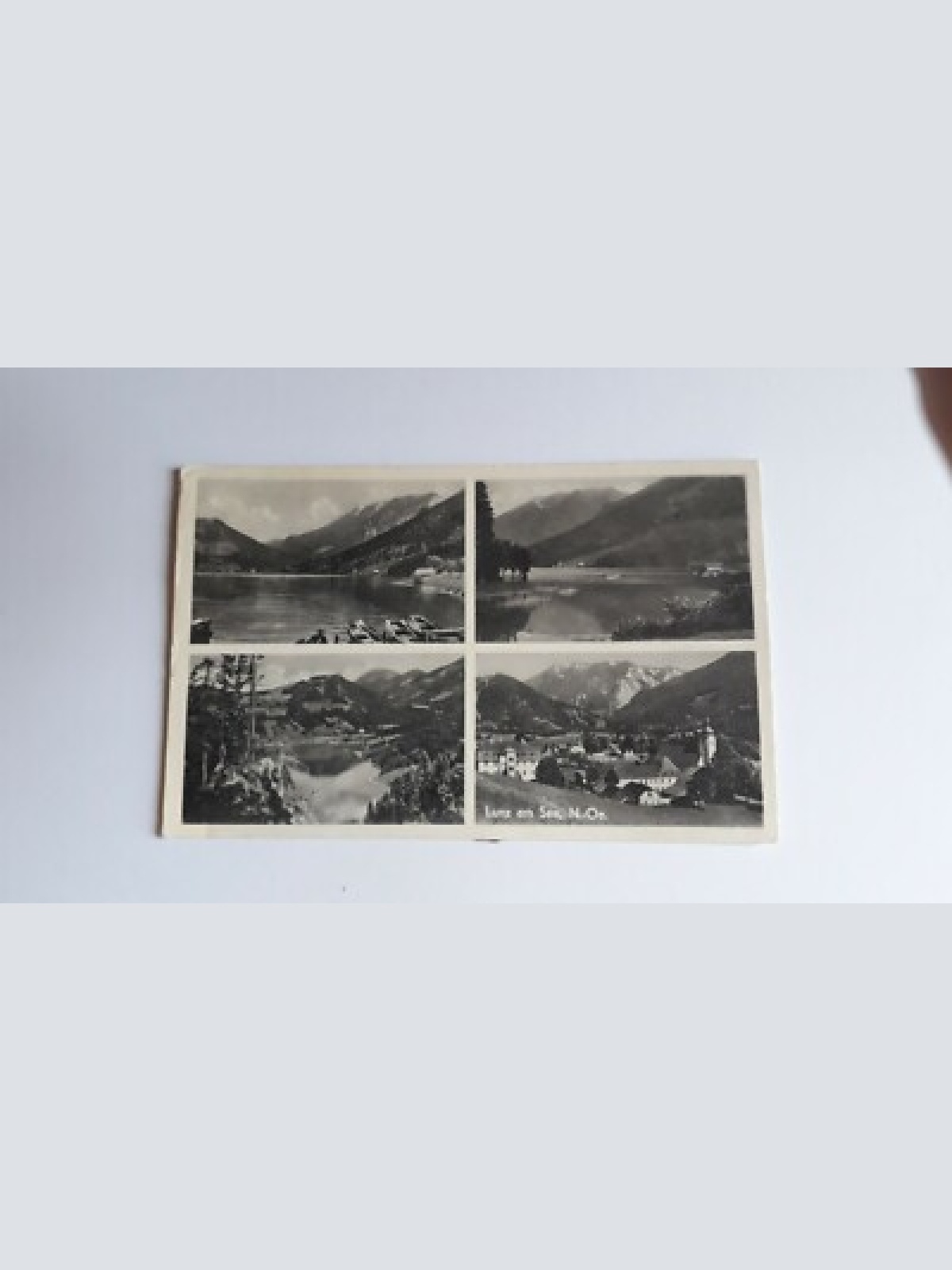 Lunz am See 40061 ShNö