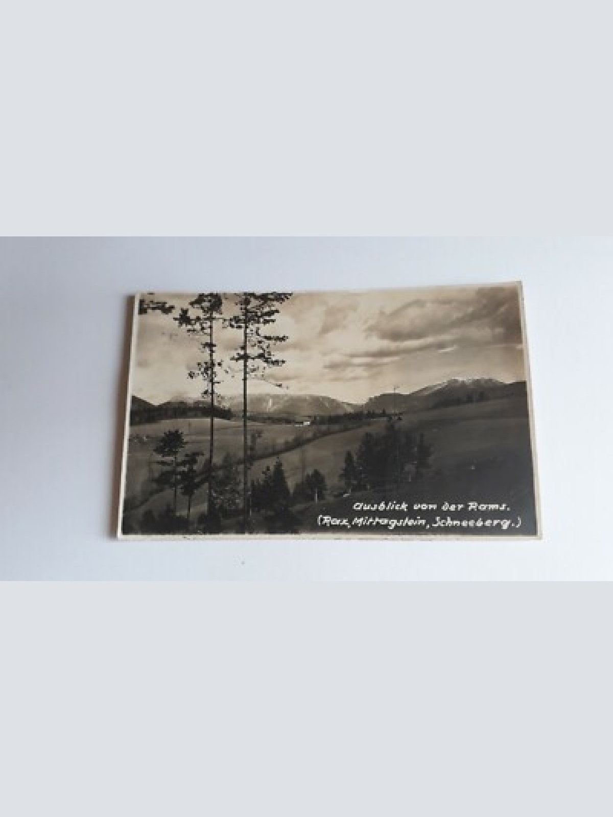 Ausblick von der Rams.(Rax,Mittagstein,Schneeberg) 40063FH