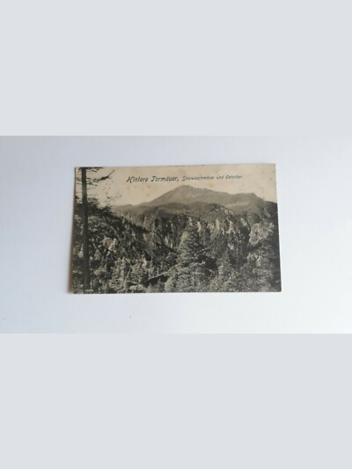 Hintere Tormäuer, Stierwaschmäuer und Ötscher 40076FH