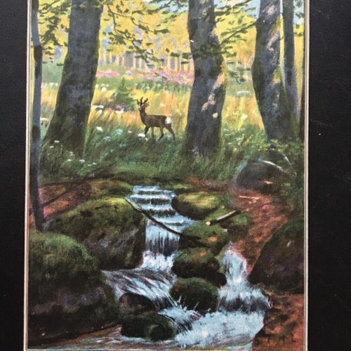 Waldlandschaft mit Reh - Bach - Waldlichtung - Künstlerkarte 909 TH F