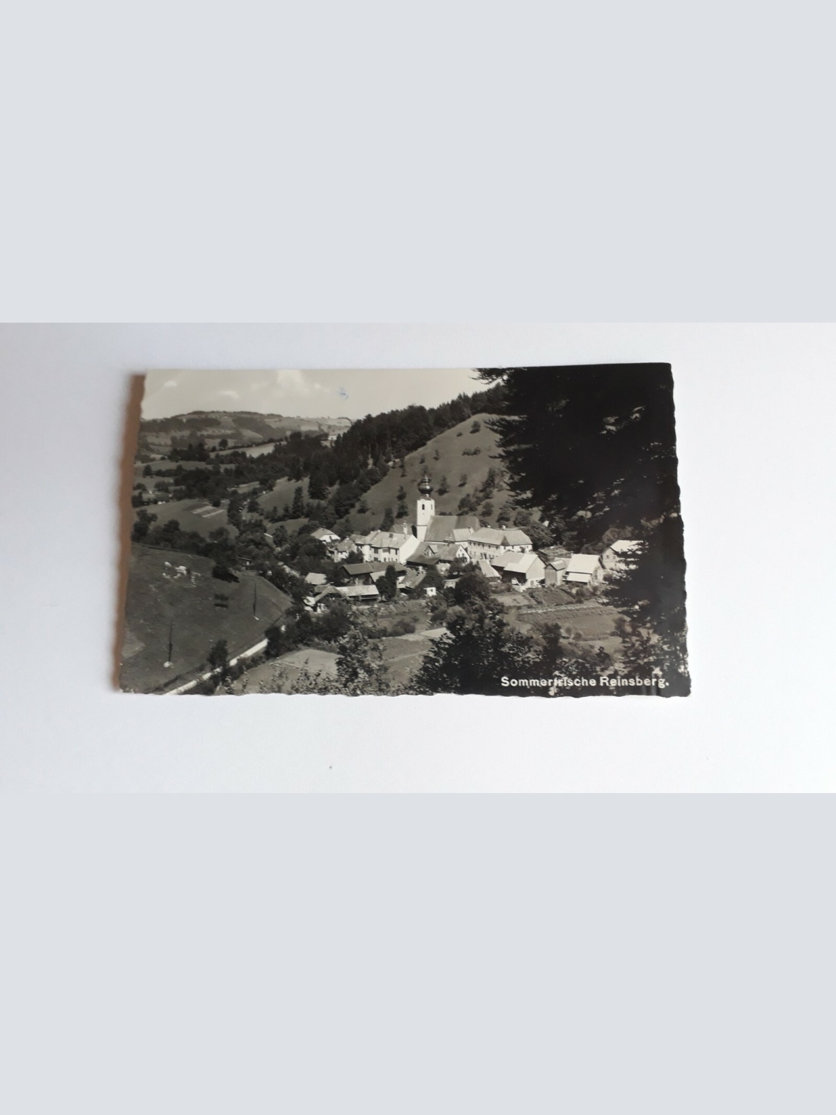 Sommerfrische Reinsberg 40067 ShNö