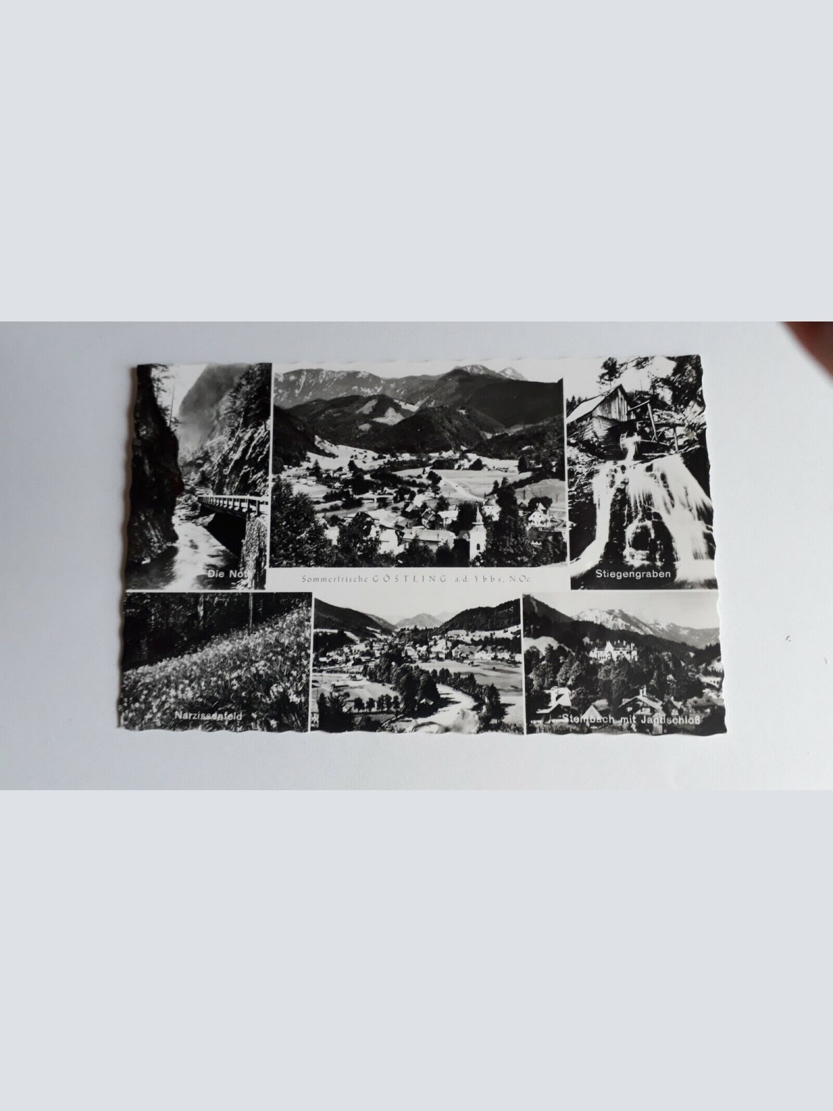 Sommerfrische Göstling a.d.Ybbs 40077 ShNö