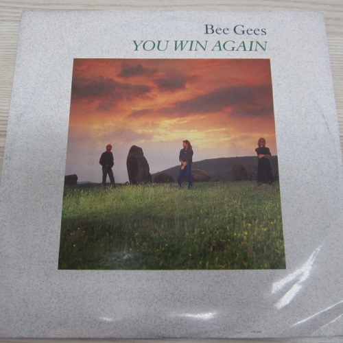 Single /  Bee Gees ?– You Win Again     /  DE  PRESS / RAR /