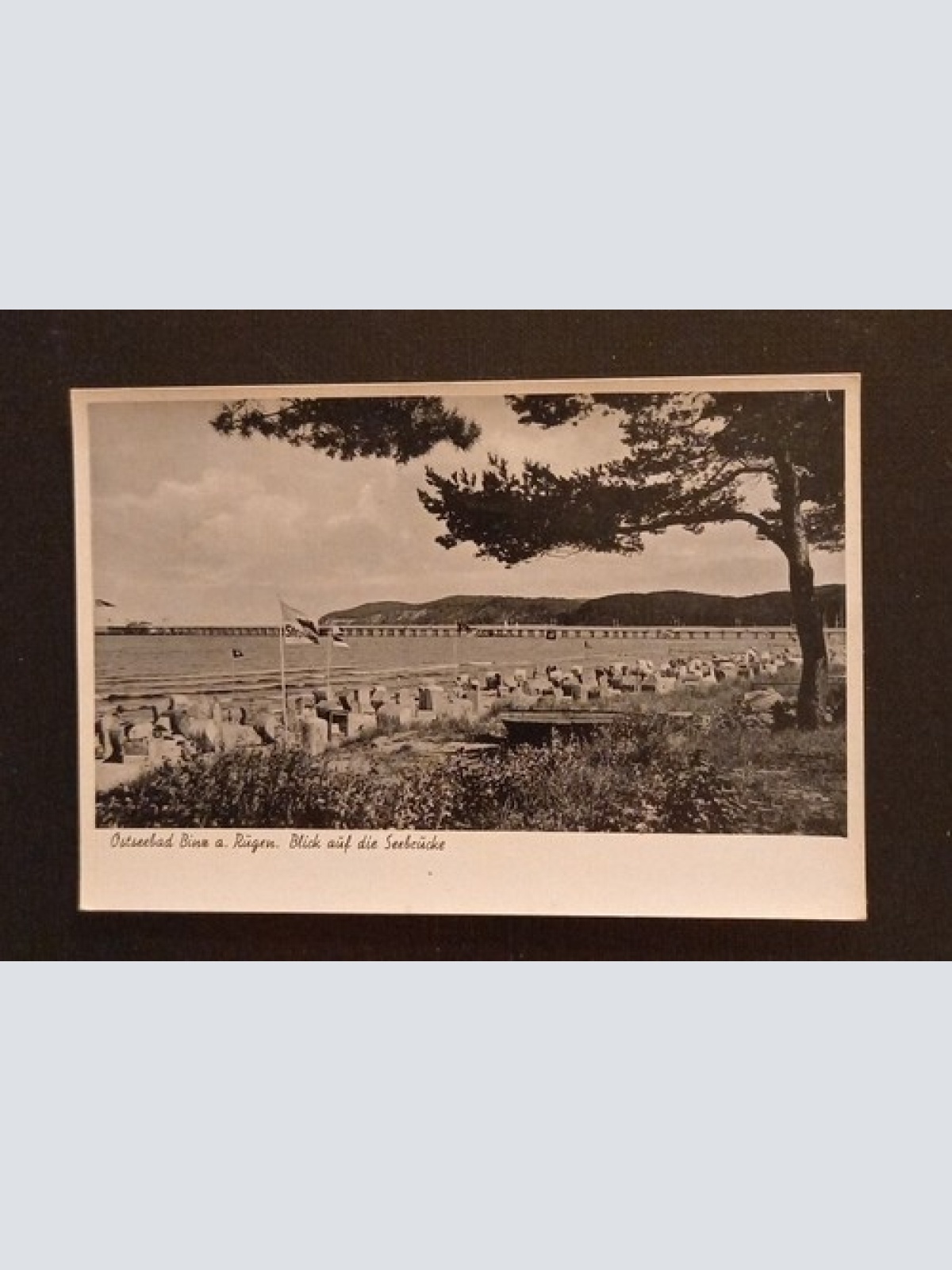 Ostseebsd Binz A.Rügen Seebrücke 68340 Ga G