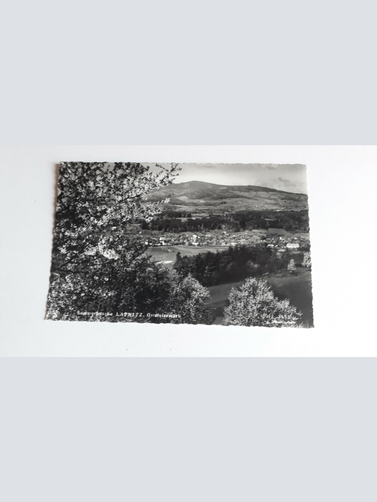 Sommerfrische Lafnitz. 40084FH