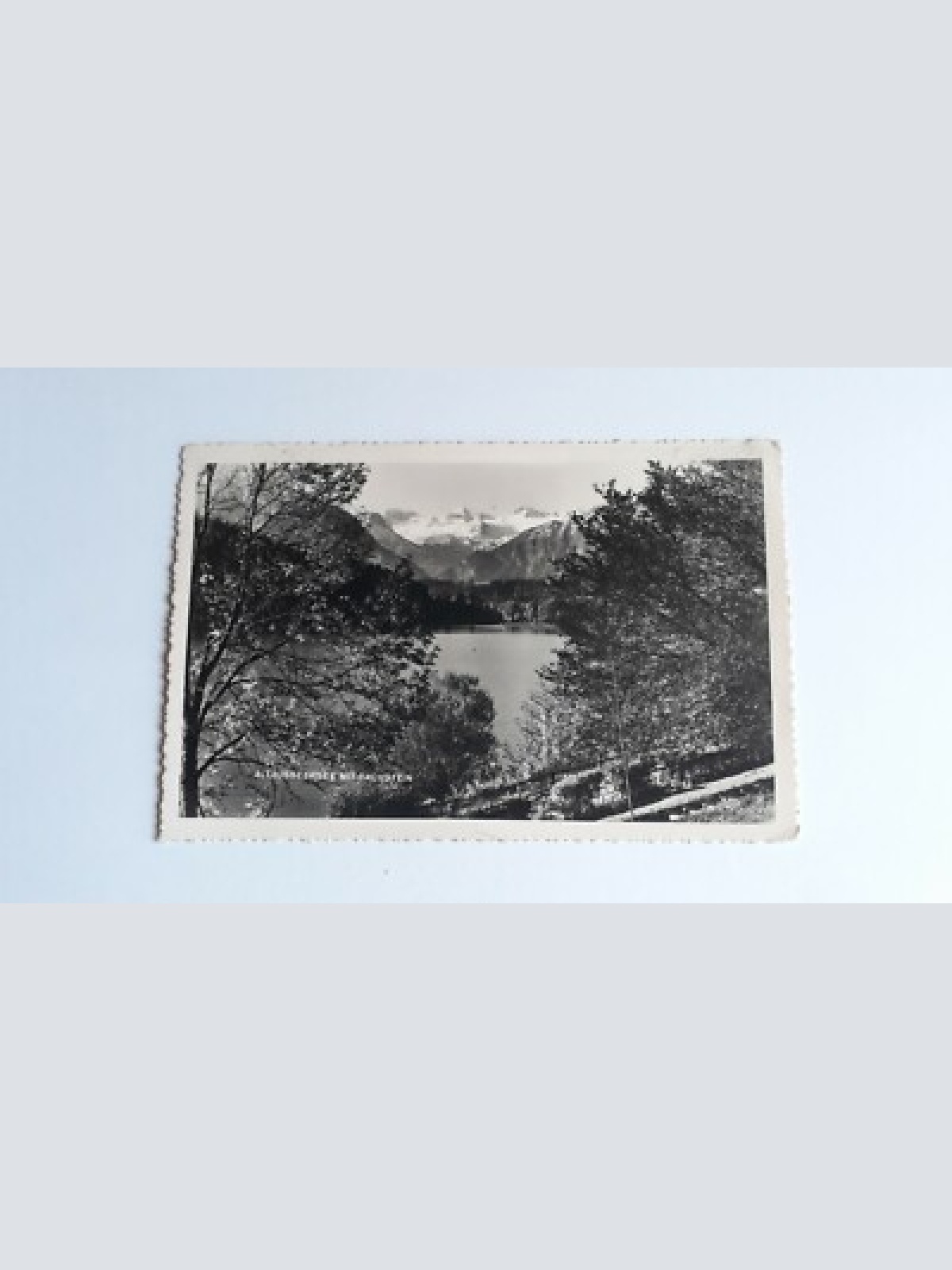 Altausseersee mit Dachstein. 40042 FH G