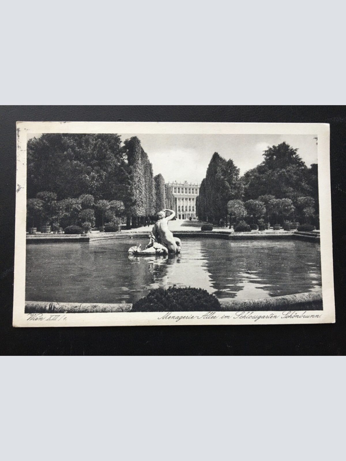 Wien - Menagerie-Allee im Schlossgarten Schönbrunn - Österreich 400262 TH
