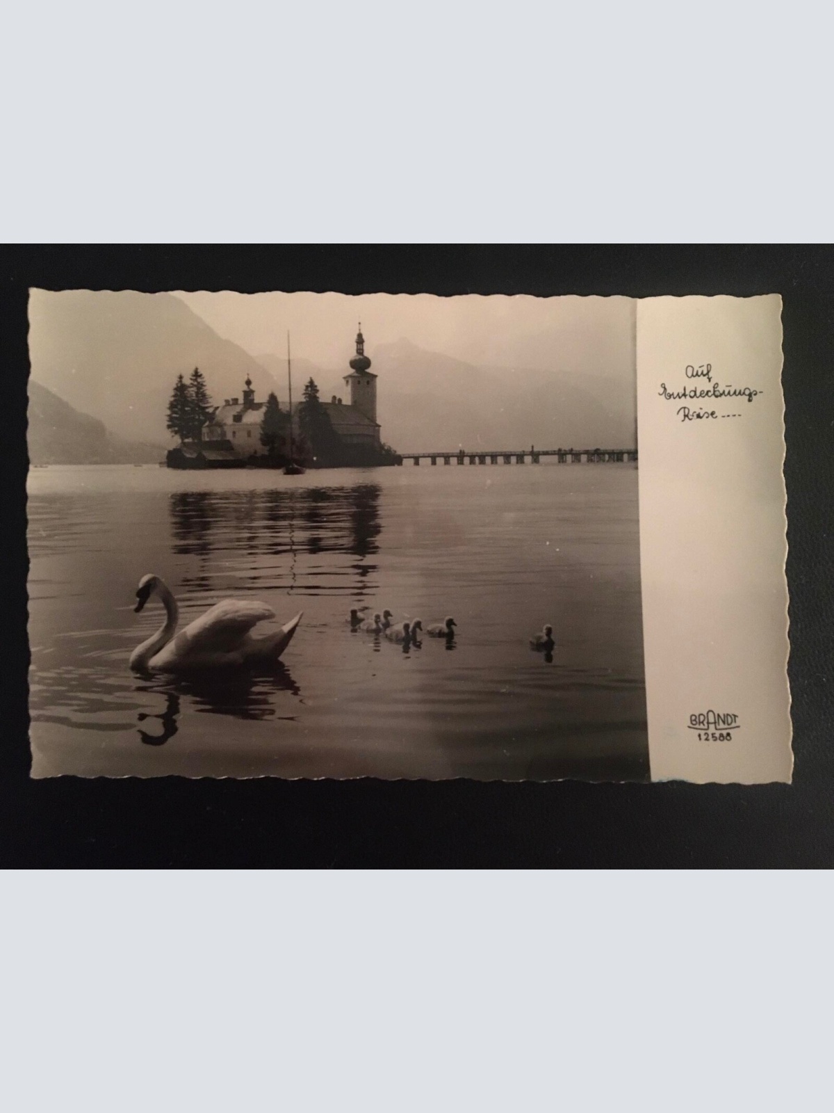 Auf Entdeckungs-Reise - Schwäne - Insel Kirche 400222 TH