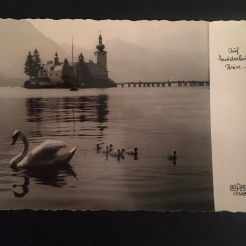 Auf Entdeckungs-Reise - Schwäne - Insel Kirche 400222 TH