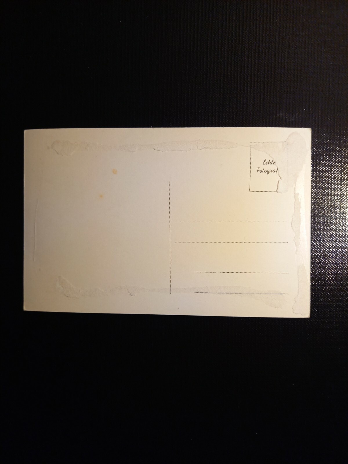 Wien Rathaus 400310 gr F