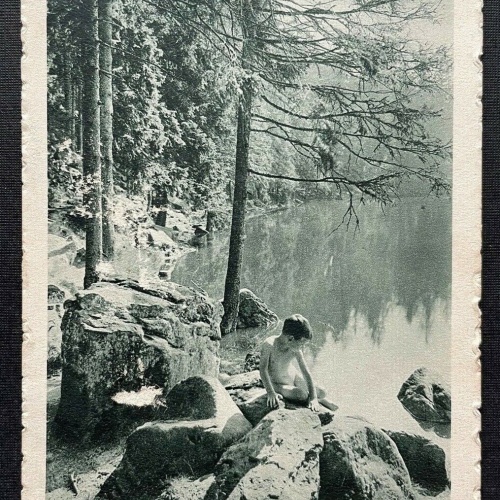 Mummelsee Fröschlein Schwarzwald Ufer Baden-Württemberg Deutschland 410158 TH C