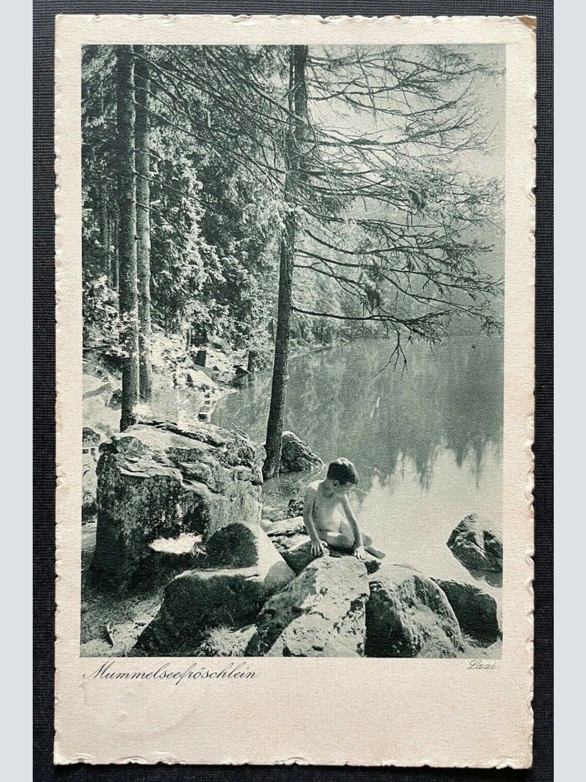 Mummelsee Fröschlein Schwarzwald Ufer Baden-Württemberg Deutschland 410158 TH C