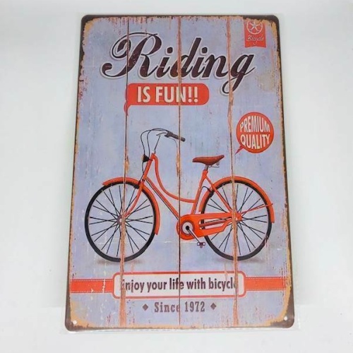 Nostalgie Retro Blech Schild Riding IS FUN, Since 1972 30x20cm 50094