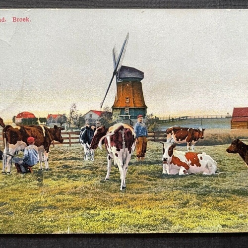 Waterland Broek Kuh Windmühle Bauer Landschaft Niederlande Holland 410111 TH
