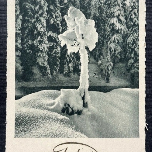 Frohes Weihnachtsfest Winter Landschaft Schnee Eis Wald Baum Tannen 410107 TH C