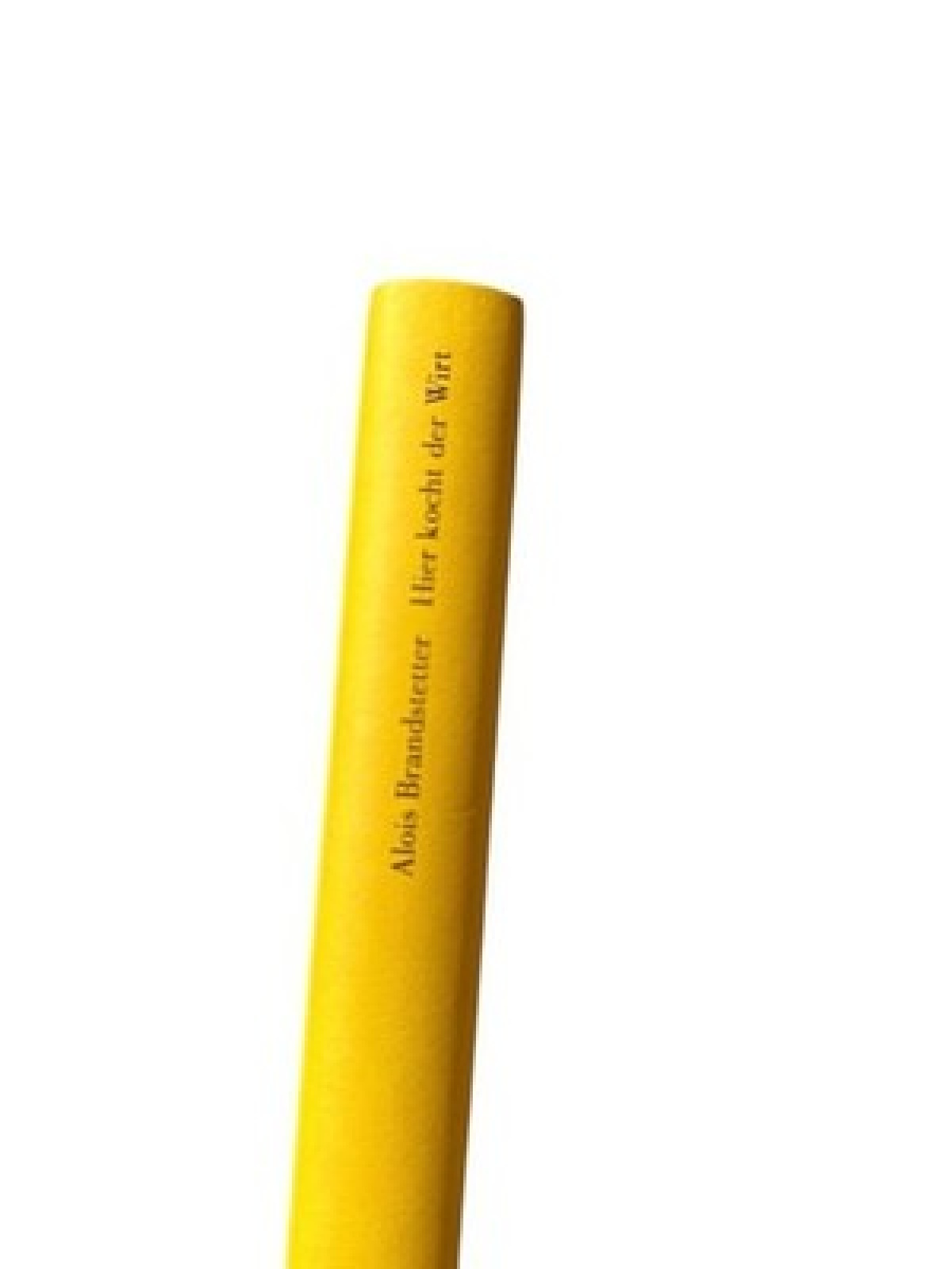 Hier kocht der Wirt: Roman Roman Brandstetter, Alois: