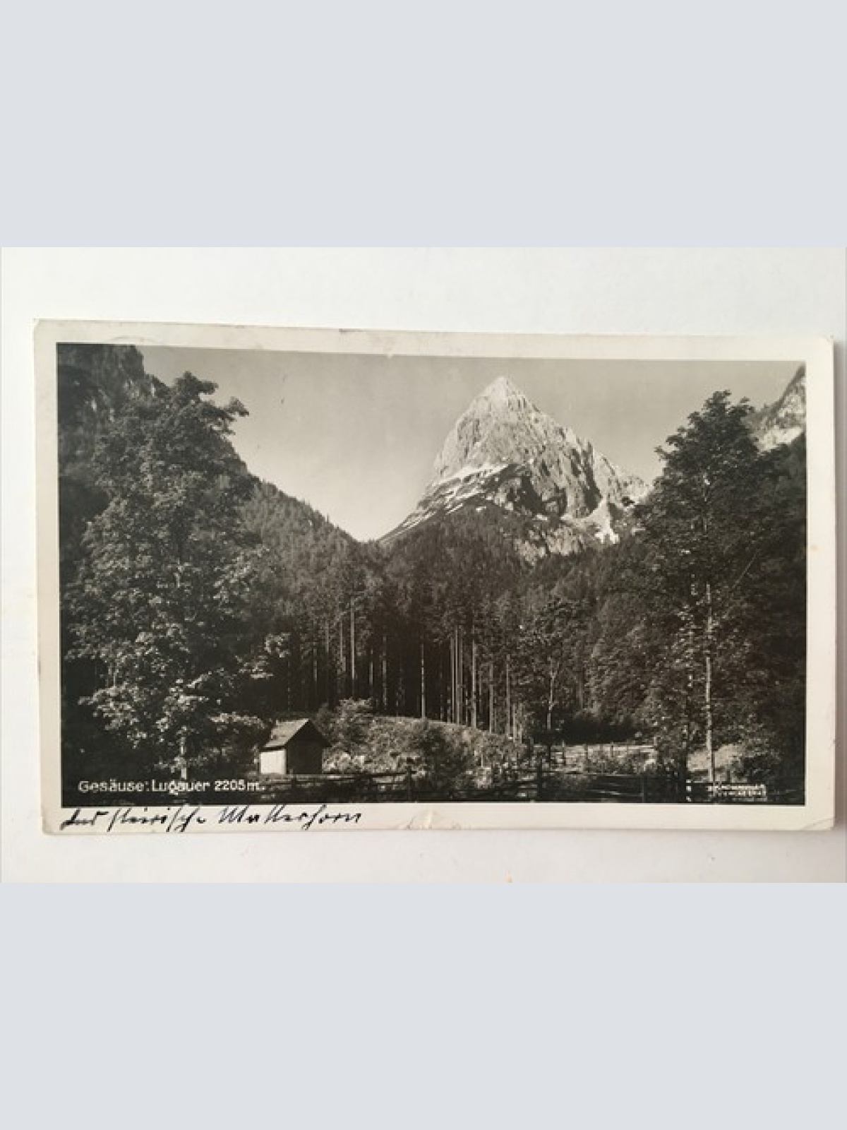 Gesäuse Lugauer 2205m 30099 12345 RU