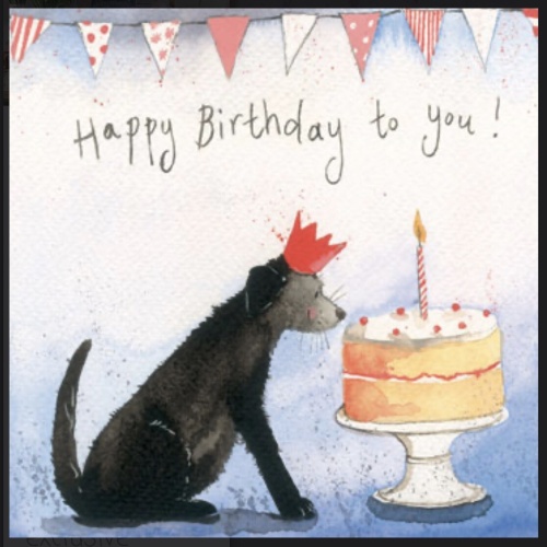 Alex Clark Hund Birthday Cake_Gerburtstag   140x140 mm incl. Umschlag     0002