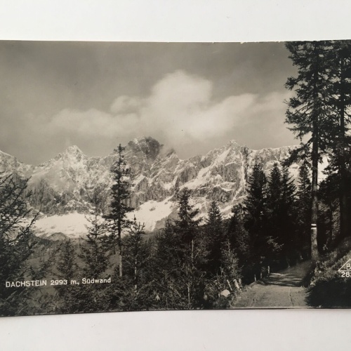 Dachstein 2993m, Südwand 30098 12345 RU