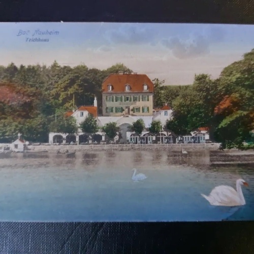 Bad Neuheim Teichhaus Schwäne See Wald 402573 WM F