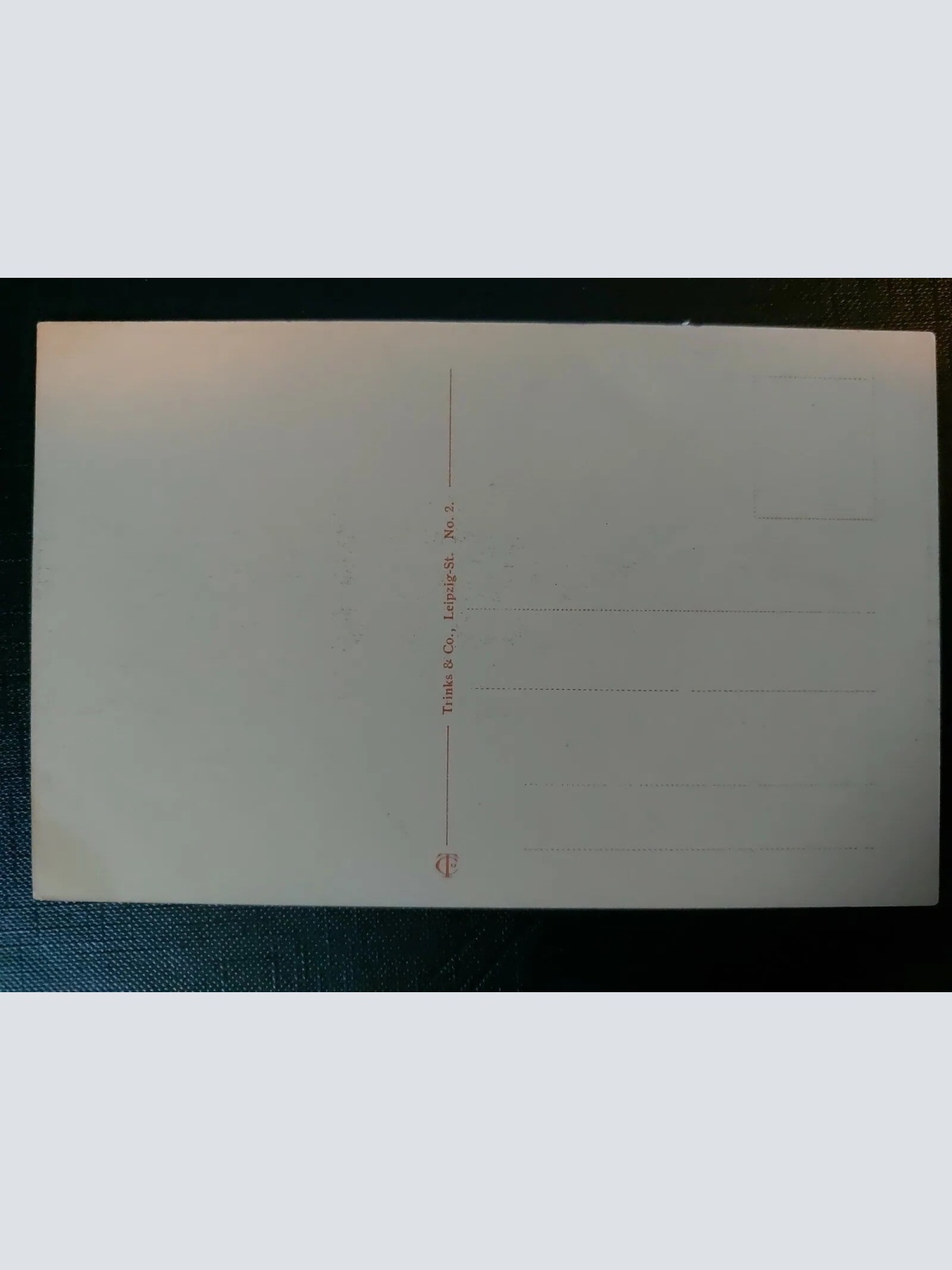 Bad Neuheim Teichhaus Schwäne See Wald 402573 WM F