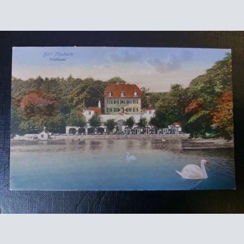Bad Neuheim Teichhaus Schwäne See Wald 402573 WM F