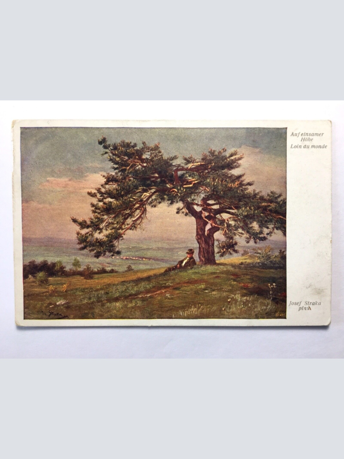 Auf einsamer Höhe (J. Straka) - Mann auf Alm unter Baum - Künstlerkarte 30160 TH